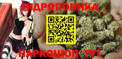 mdpv Кимры