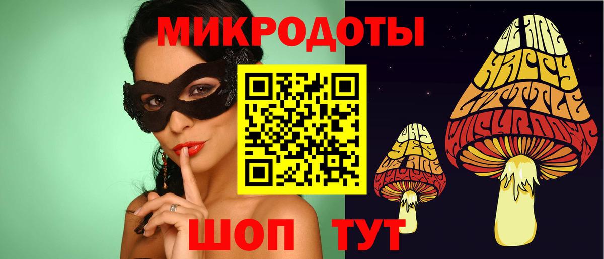 Галлюциногенные грибы Psilocybine cubensis Коряжма